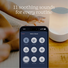 Sound + Light Machine